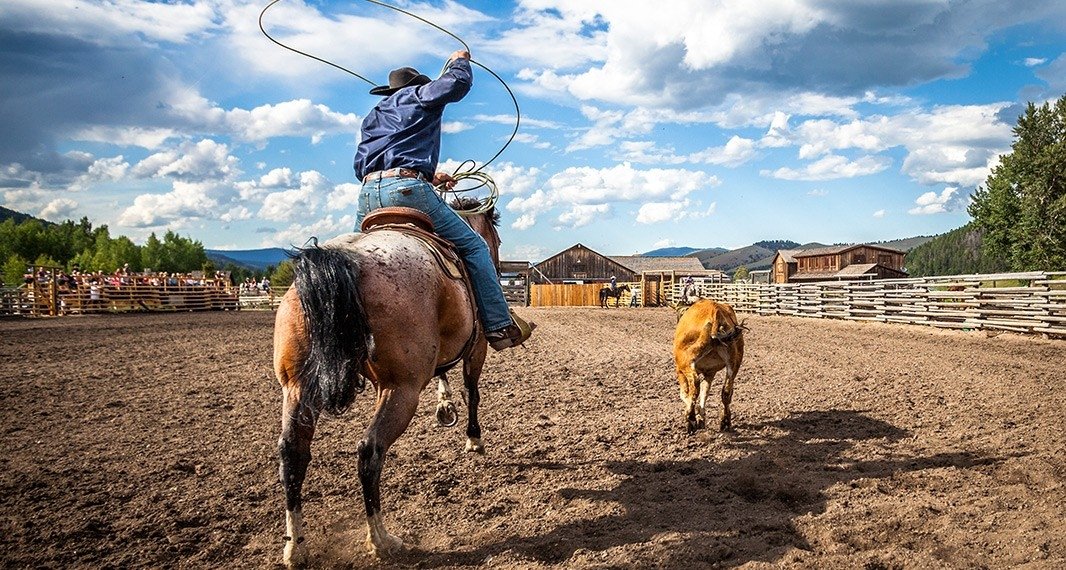rodeo Sports Image