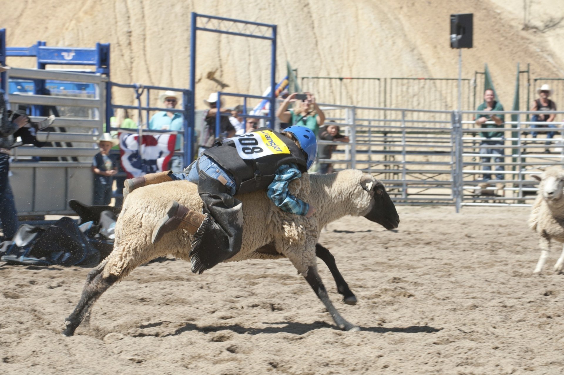 rodeo Sports Image