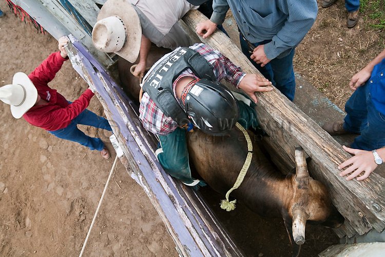 rodeo Sports Image