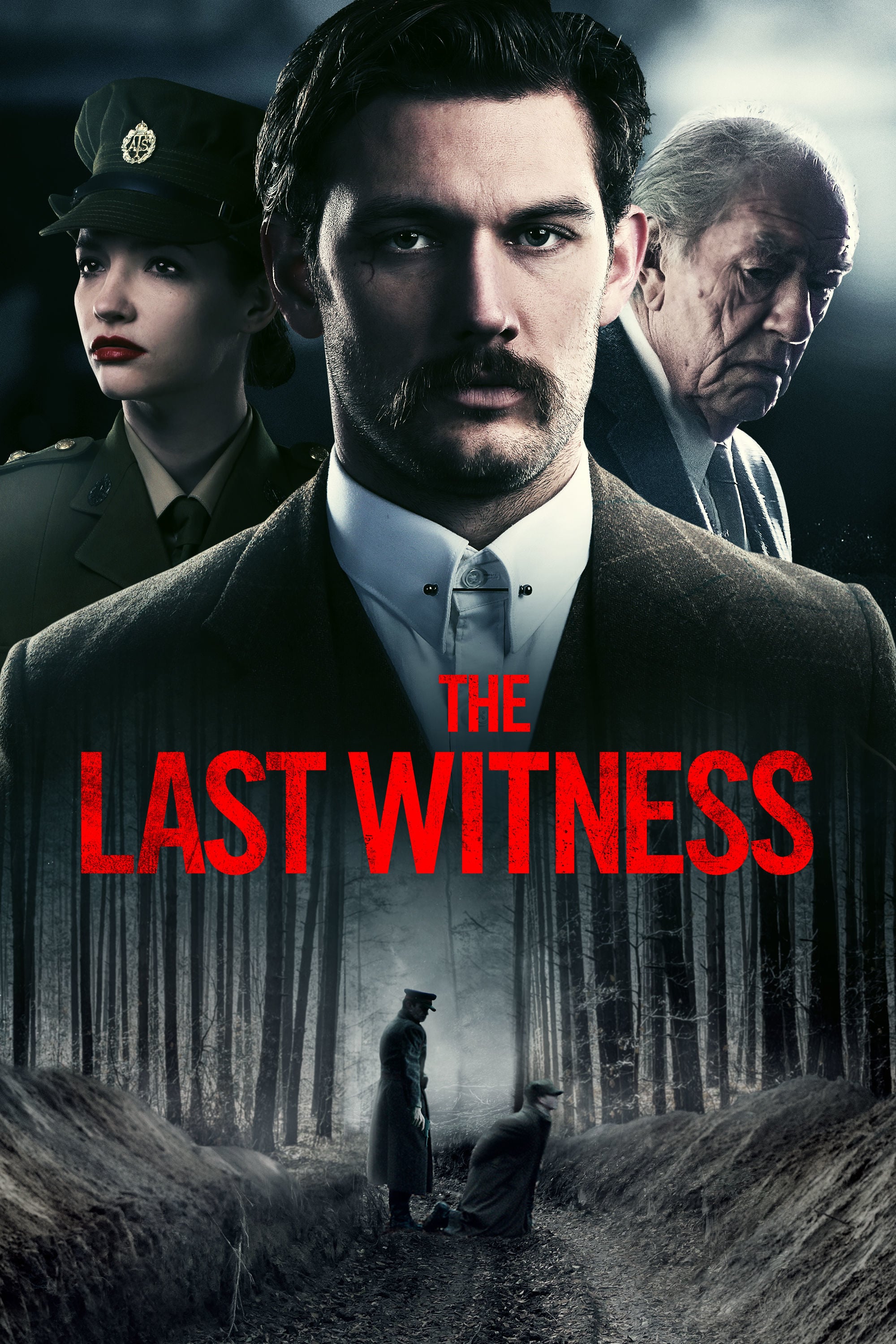 The Last Witness Picture