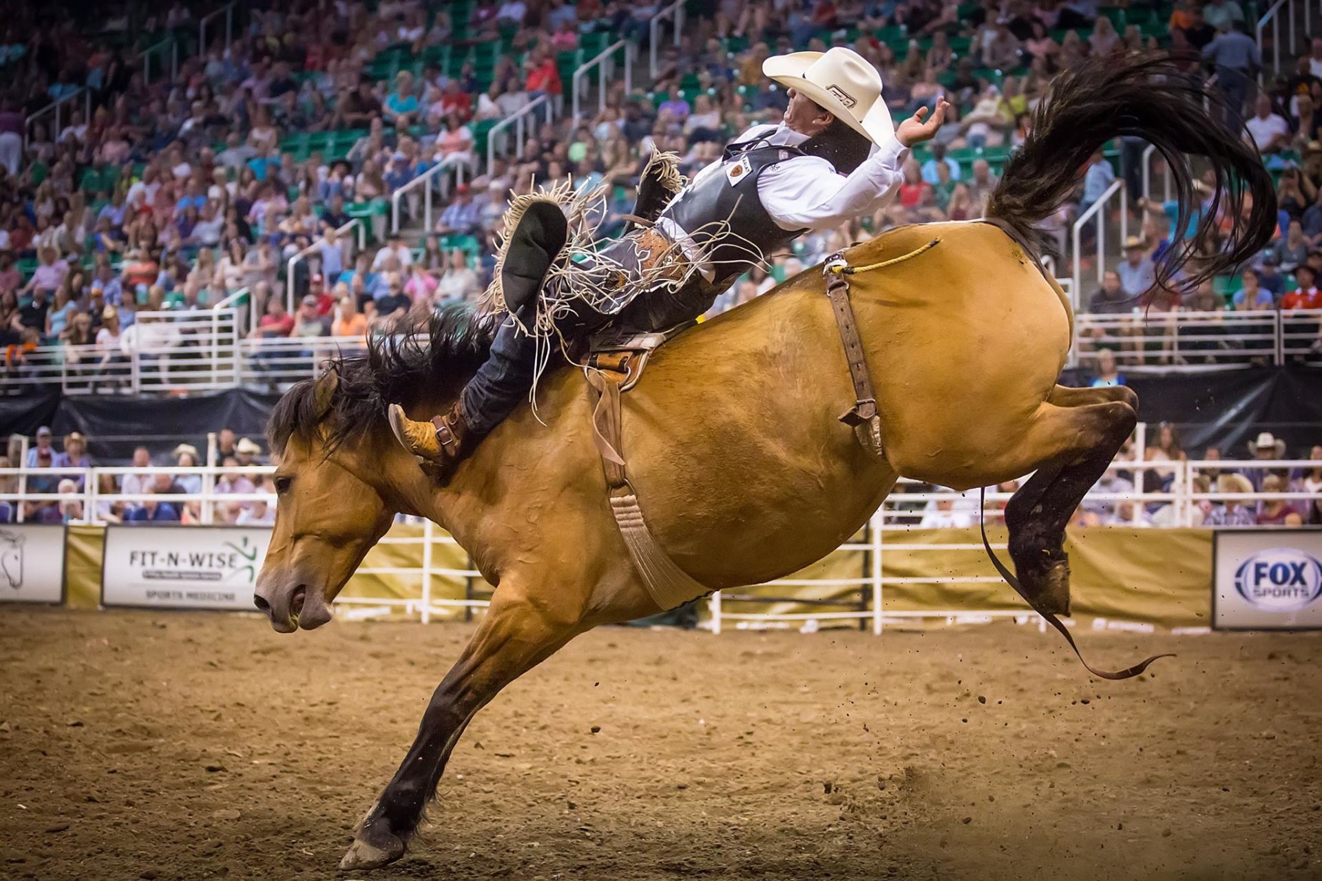 rodeo Sports Image