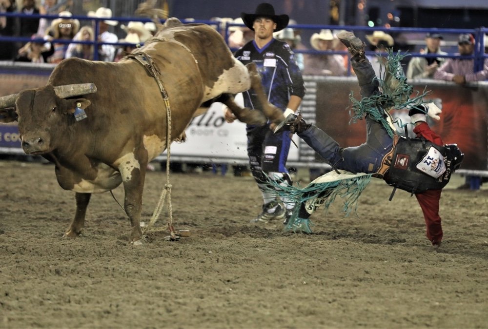 Download Rodeo Sports Image