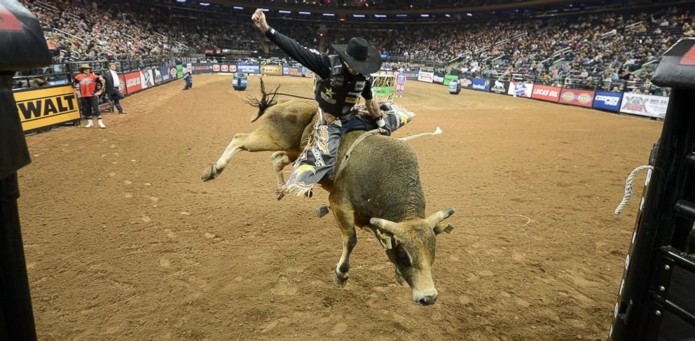 Rodeo Picture - Image Abyss