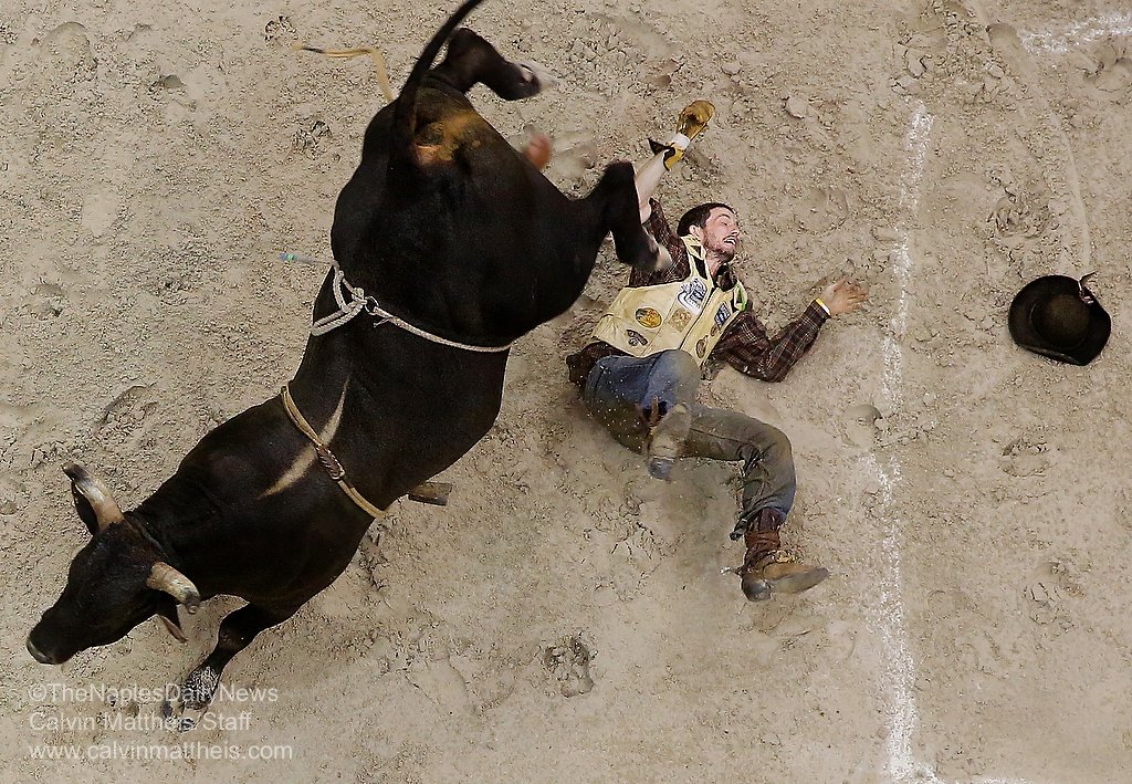 rodeo Sports Image