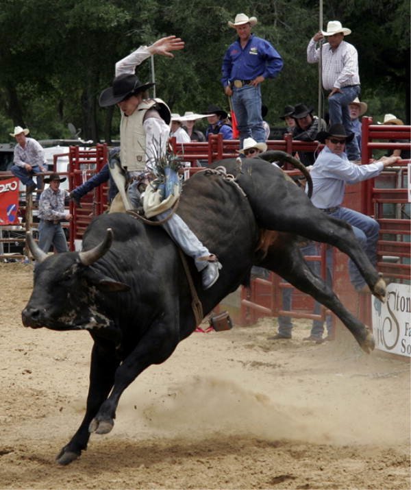 Download Rodeo Sports Image