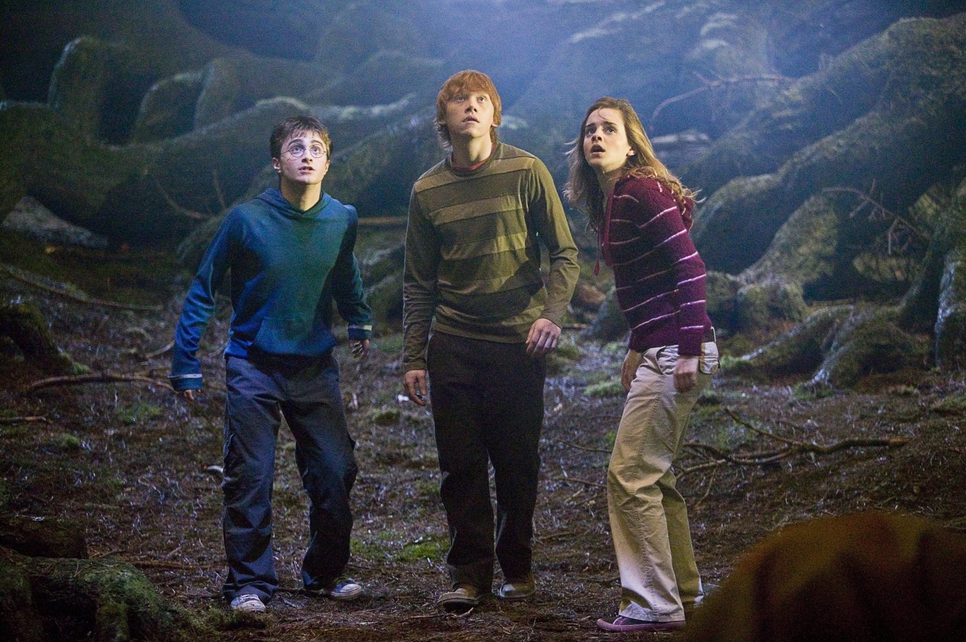 movie Harry Potter and the Order of the Phoenix Image