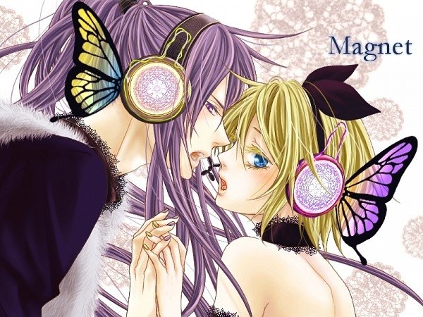  Magnet