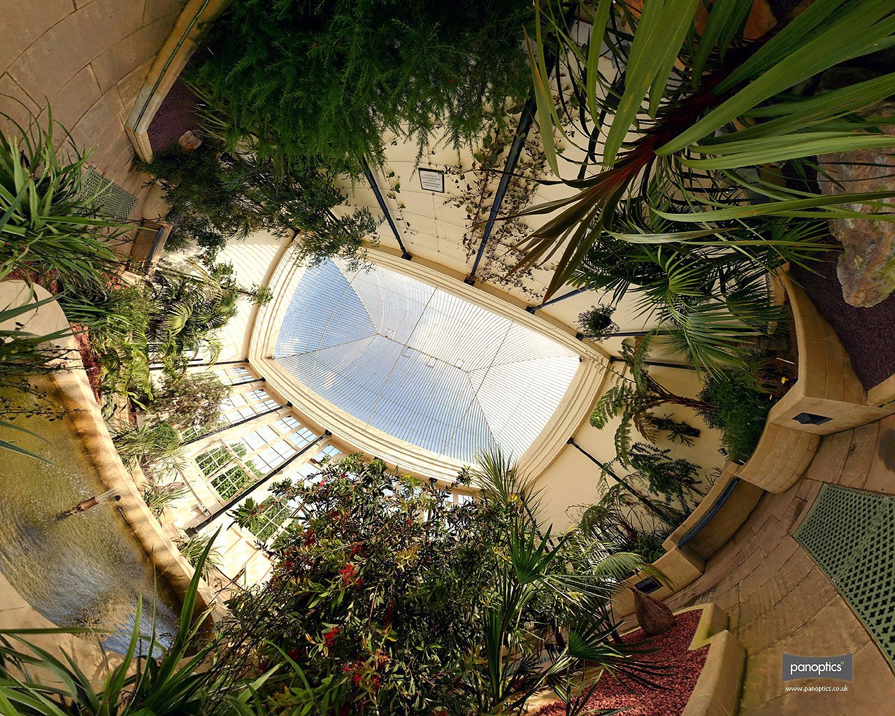 A vibrant indoor garden captured with a fisheye lens, showcasing lush greenery and a skylight that illuminates the scene, creating a captivating atmosphere of nature and tranquility.