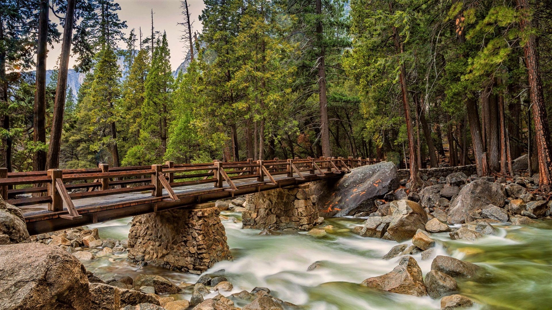River Bridge in Yosemite National Park Image Abyss