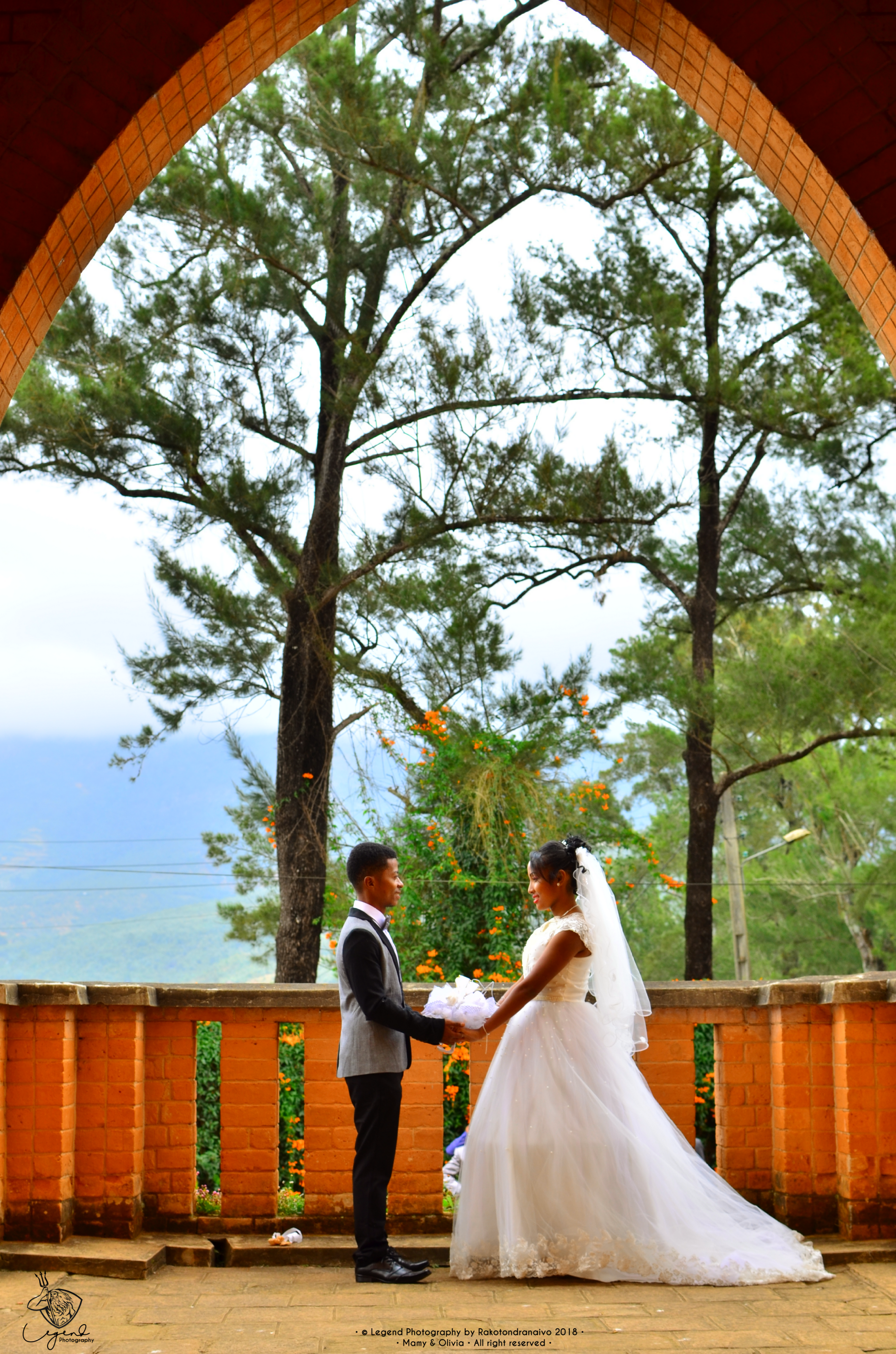holiday wedding Image