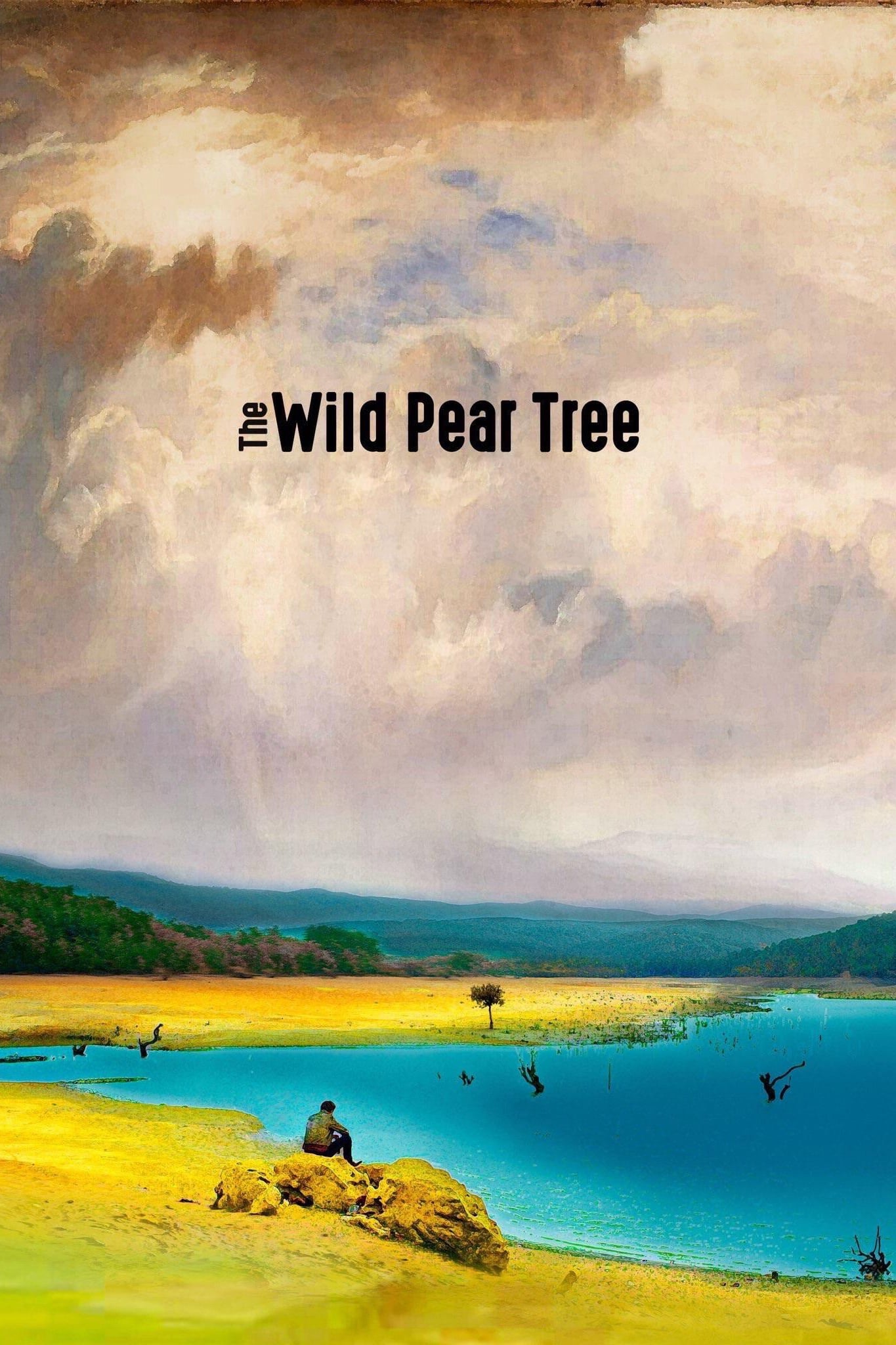 The Wild Pear Tree Picture