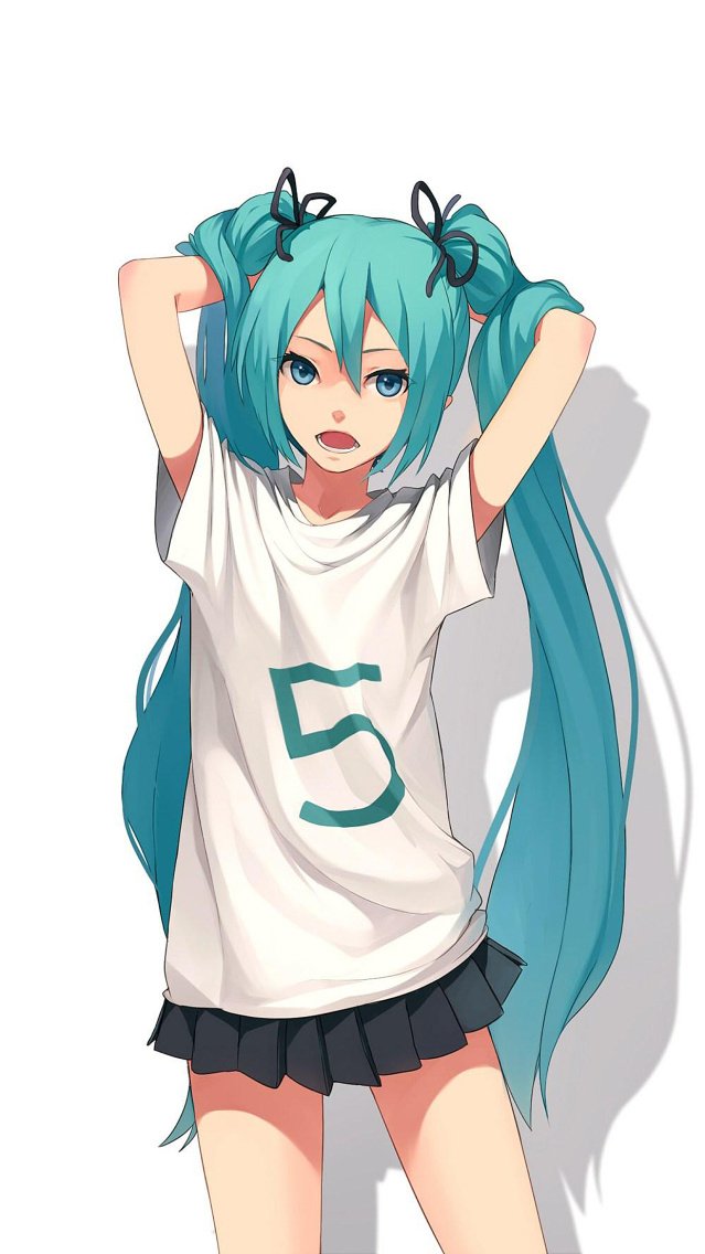  Hatsune Miku/Anime