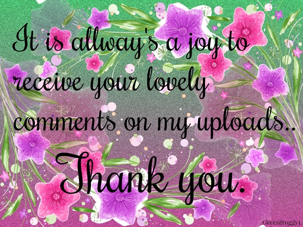 THANK YOU Image - ID: 197373 - Image Abyss
