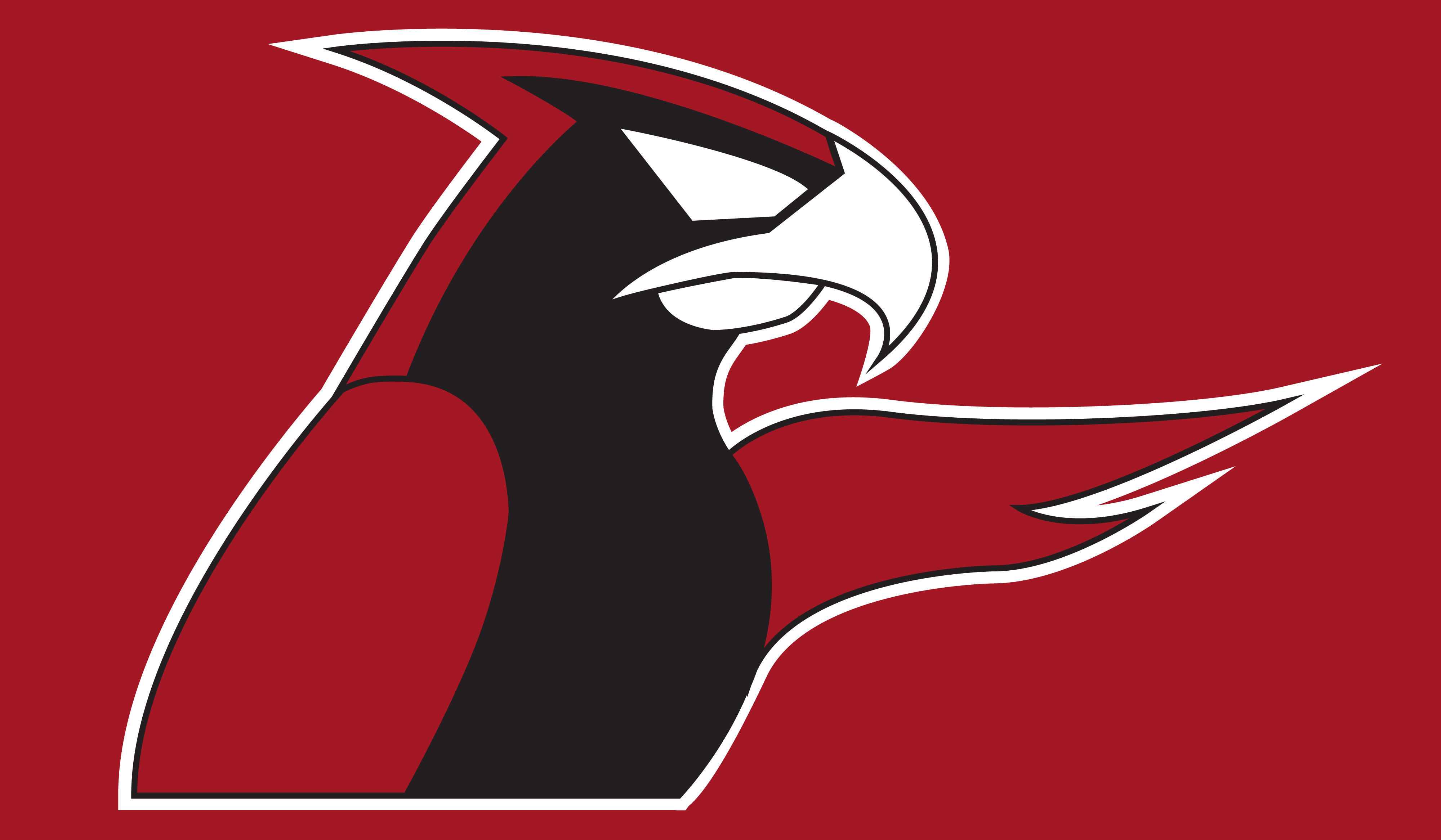 Falcons m80. Атланта фэлконс. Atlanta Falcons logo. Сокол эмблема. Team Falcons.