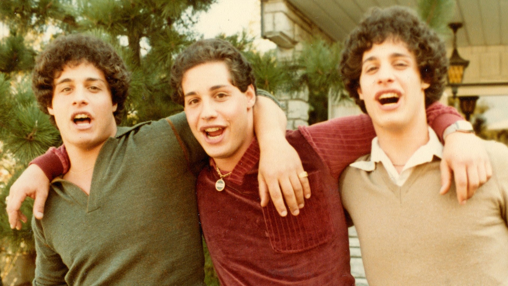 movie Three Identical Strangers Image