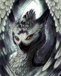  Owly griffin