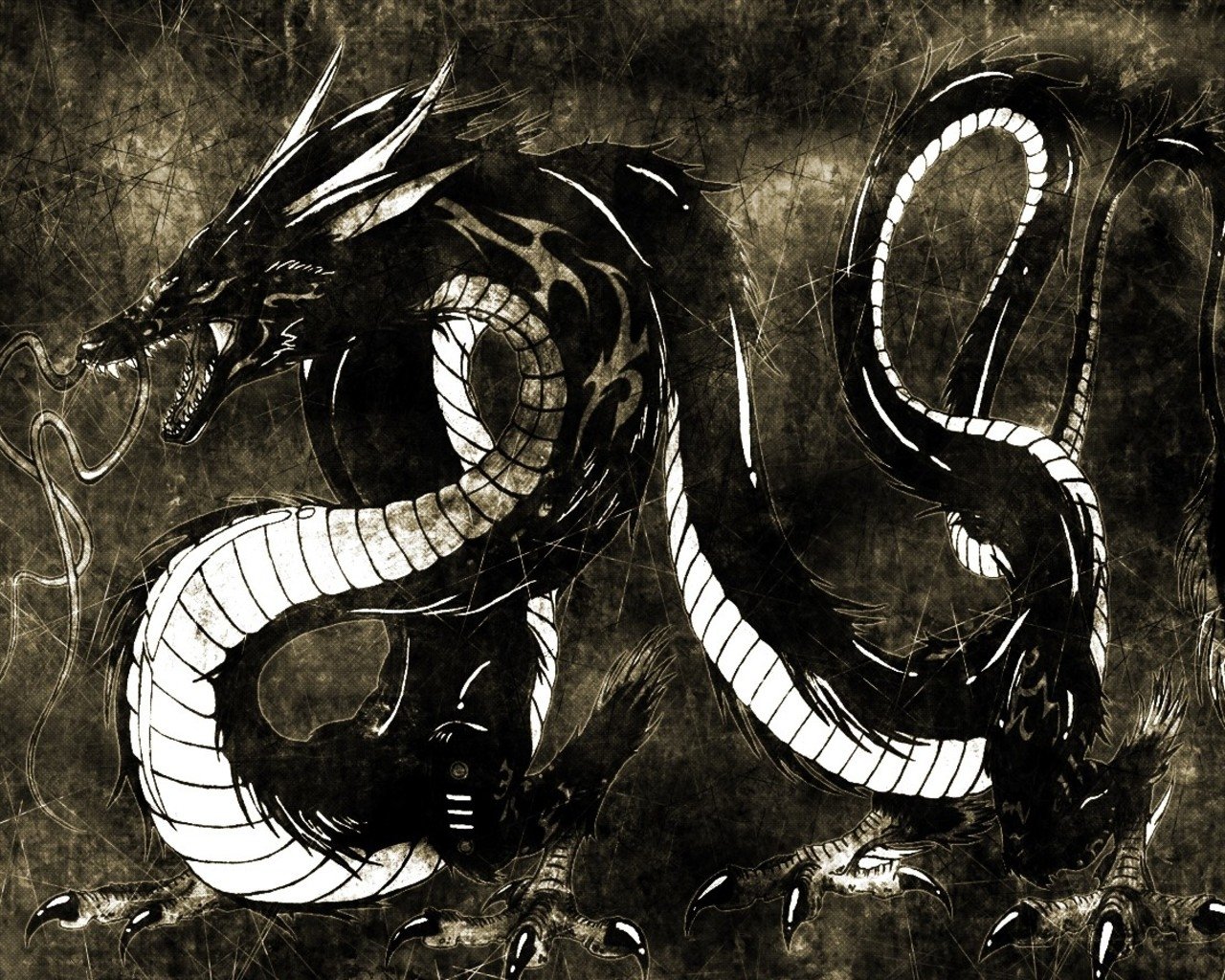 White black dragon Image - ID: 200918 - Image Abyss