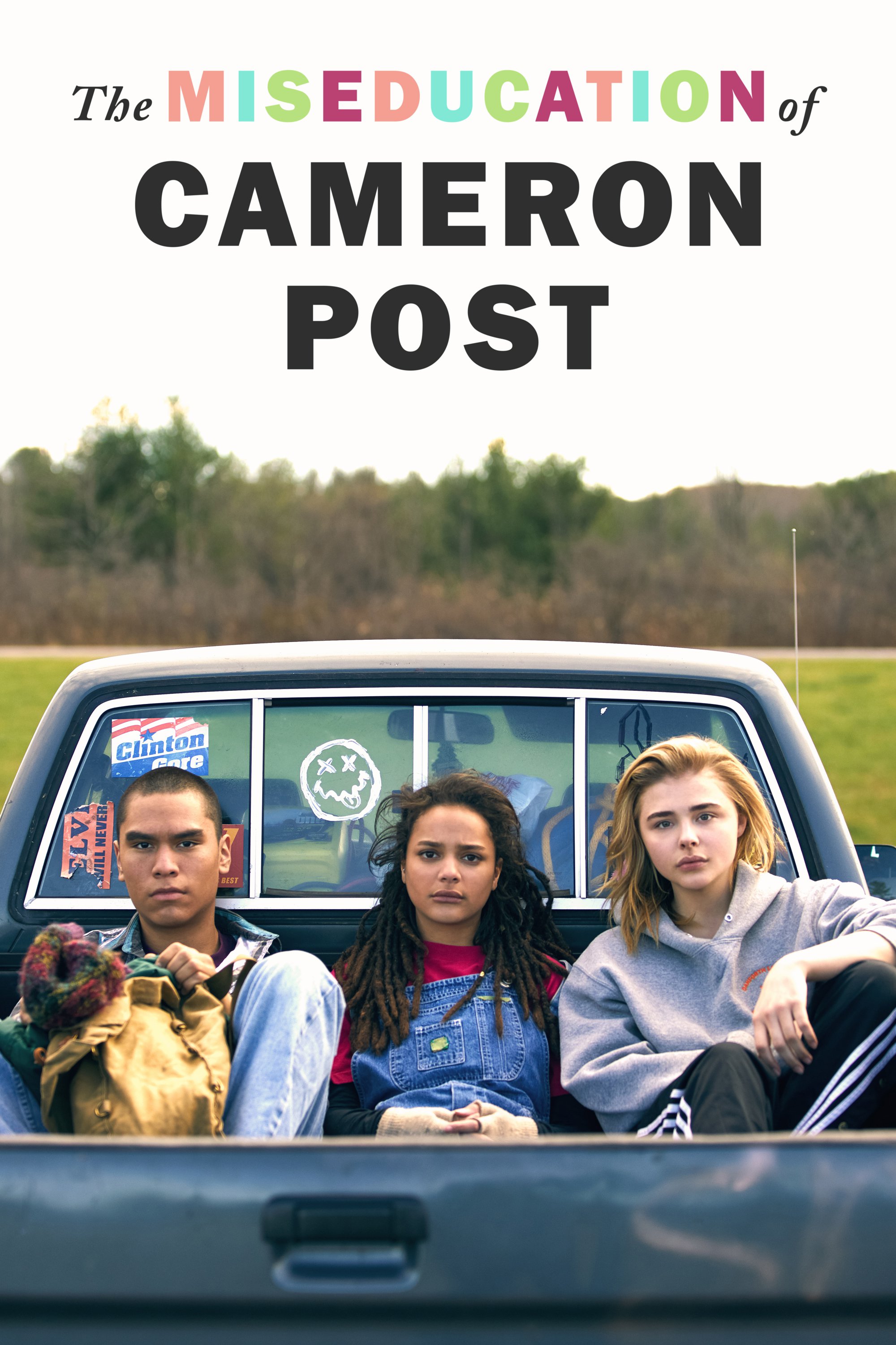 The Miseducation of Cameron Post Picture - Image Abyss