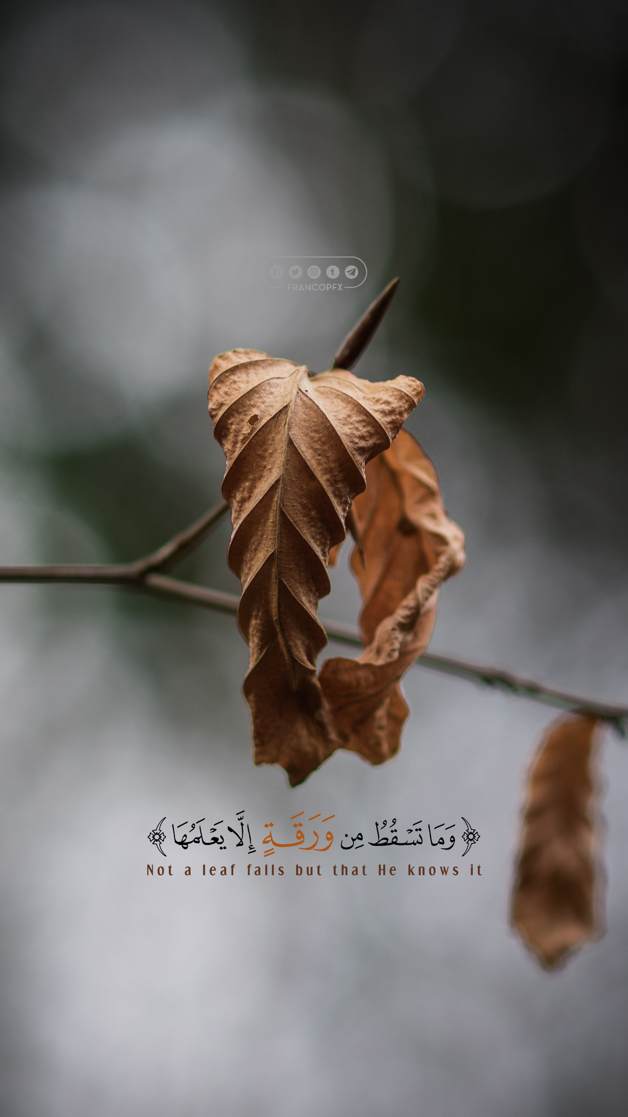 islamic Phone Wallpaper by francopfx