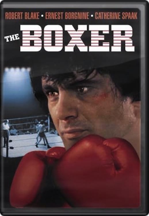 The Boxer Movie Poster Inspiring Print - vrogue.co