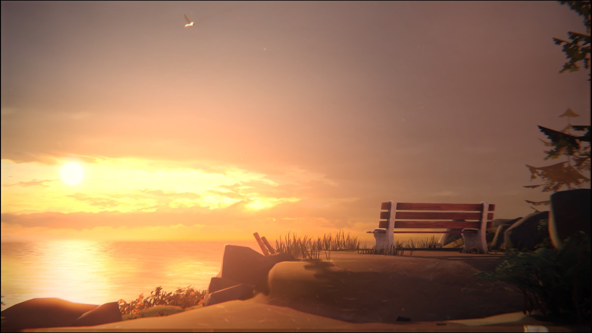 Download Video Game Life Is Strange Image