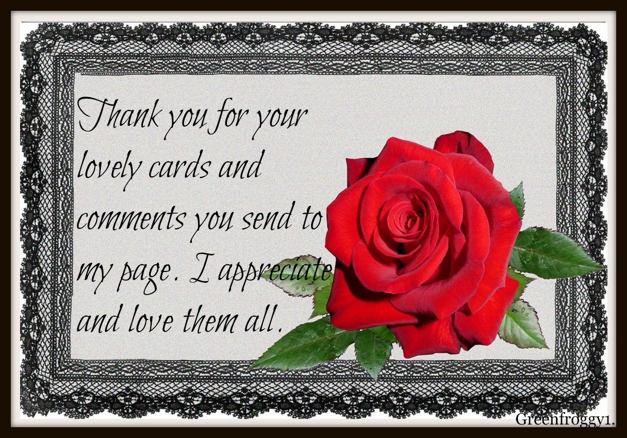 A thank you card with a black lace border, featuring a red rose and a message expressing appreciation for lovely cards and comments received on a page.