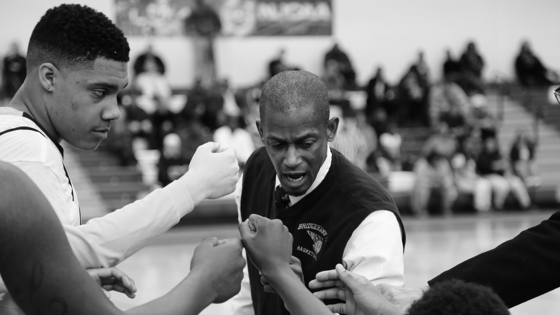 movie Killer Bees Image