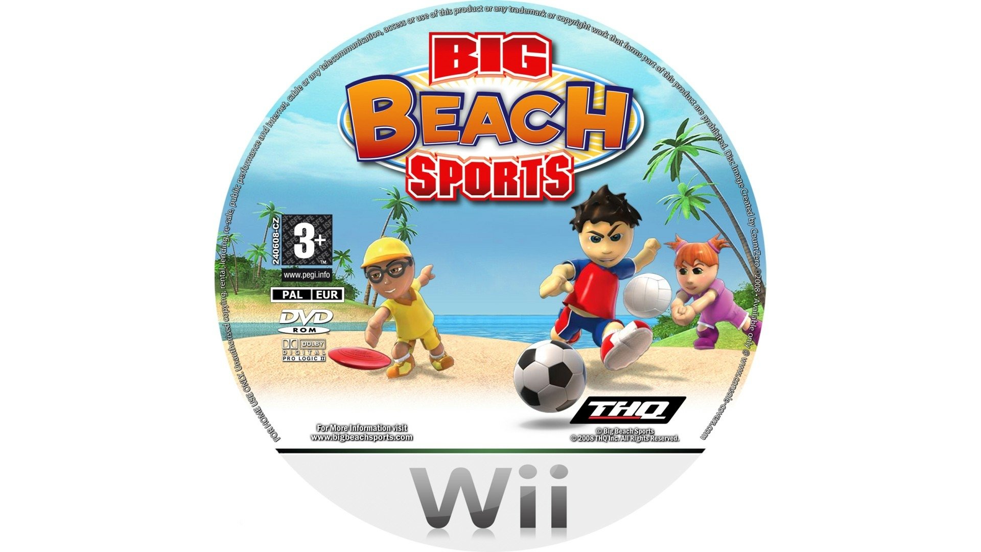 video game Big Beach Sports Image