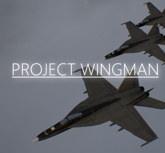 download project wingman pc for free