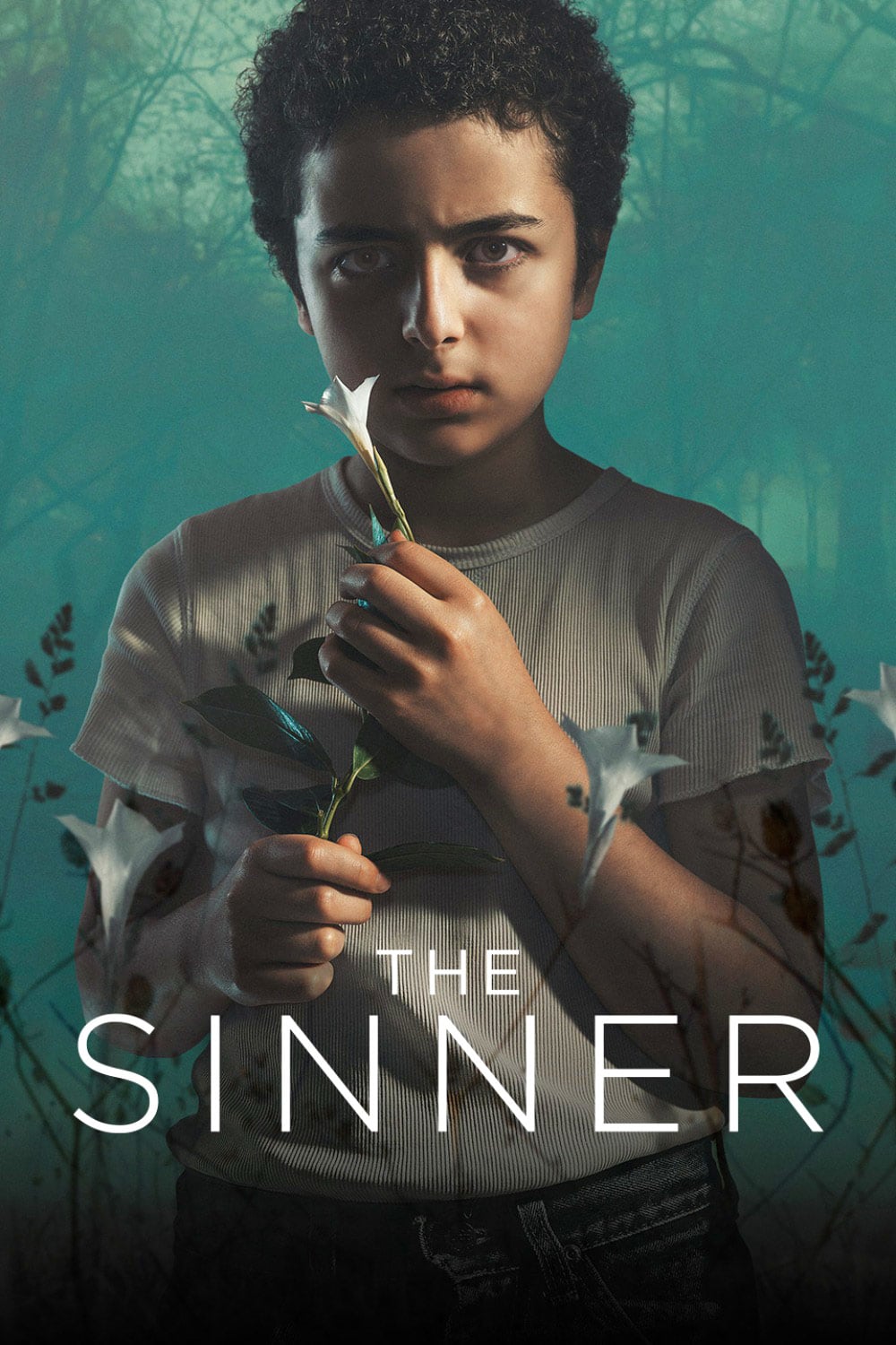 The Sinner Picture