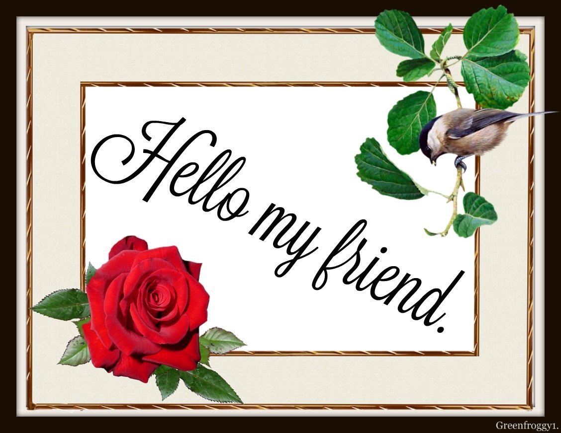 HELLO MY FRIEND By GREENFROGGY1