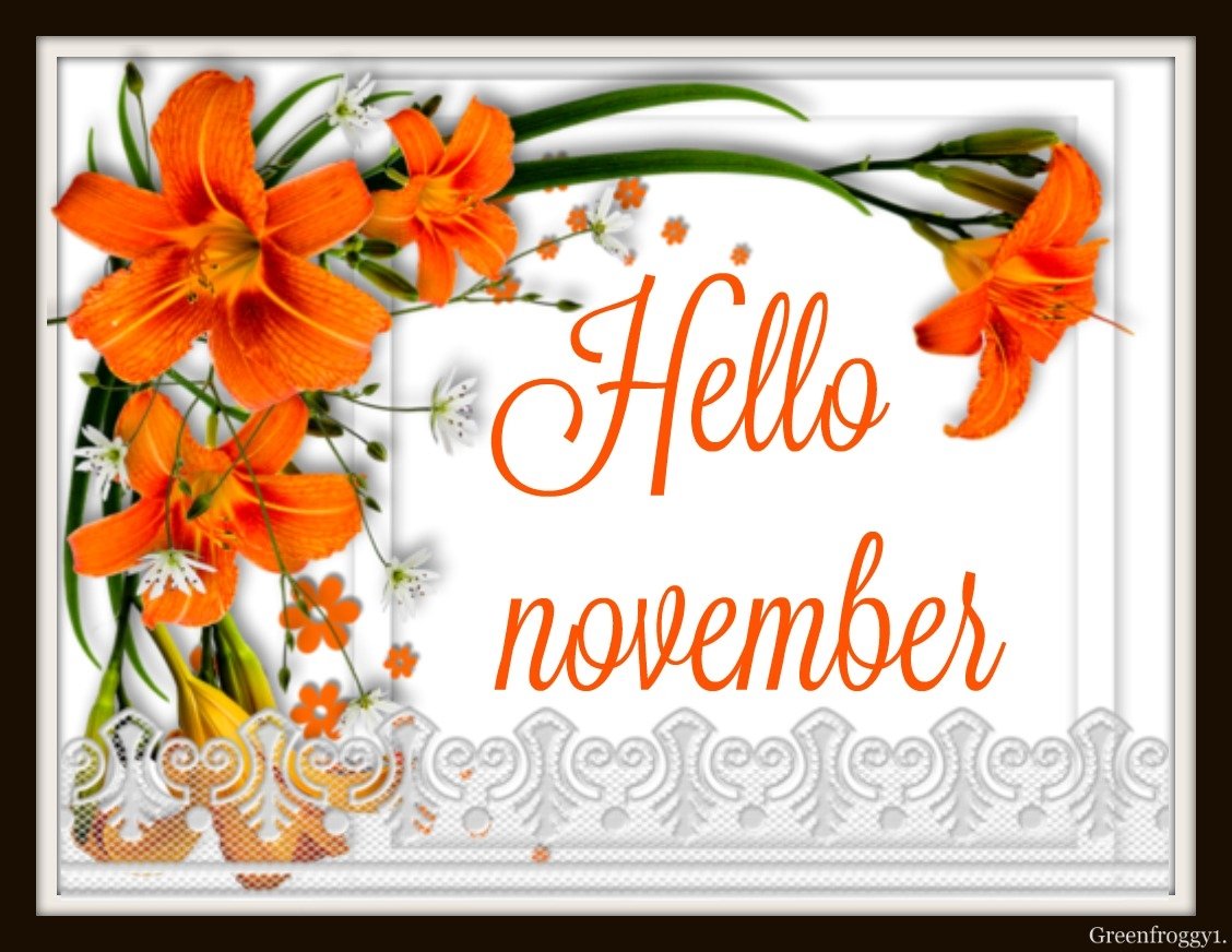  NOVEMBER