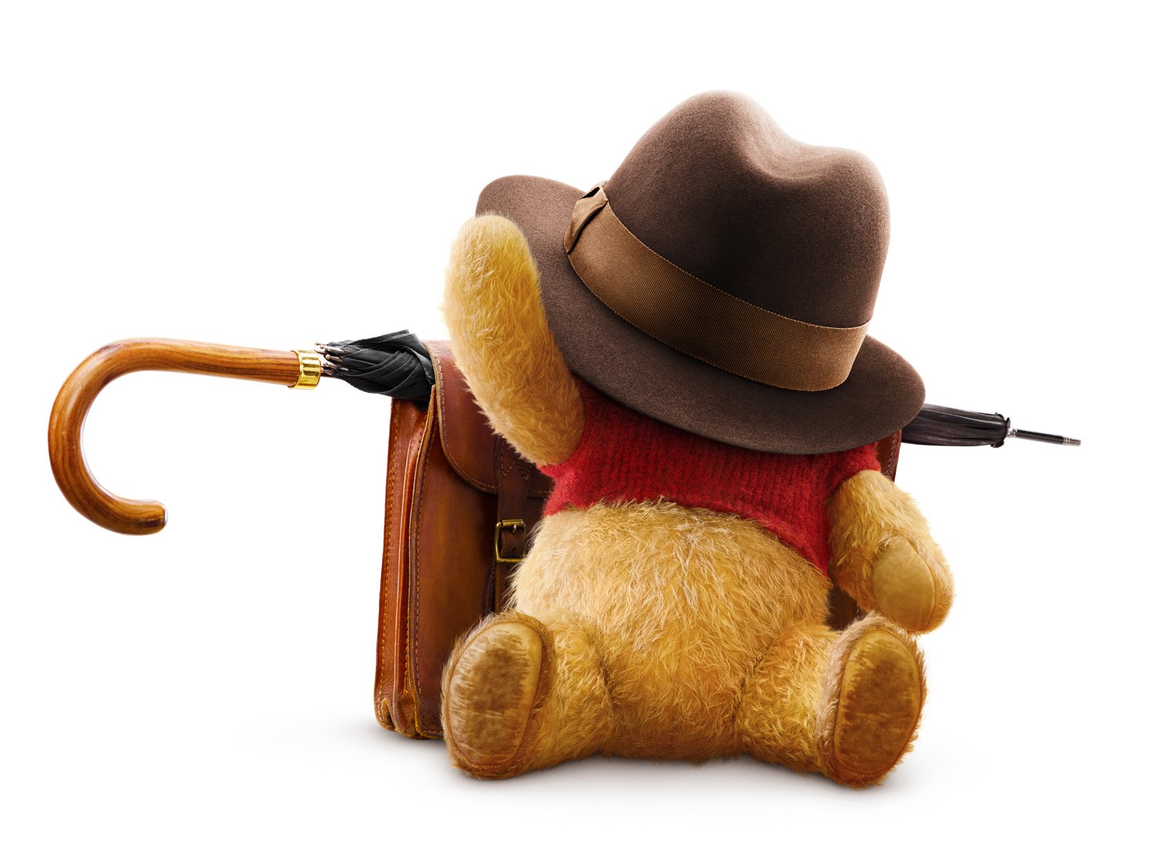 Winnie the Pooh movie Christopher Robin bear hat Image