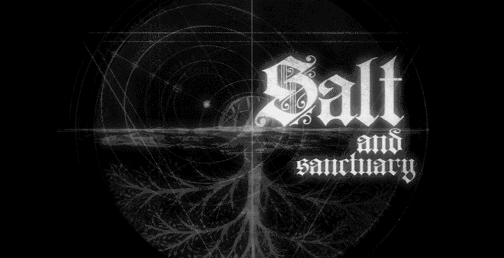 Salt and Sanctuary Picture