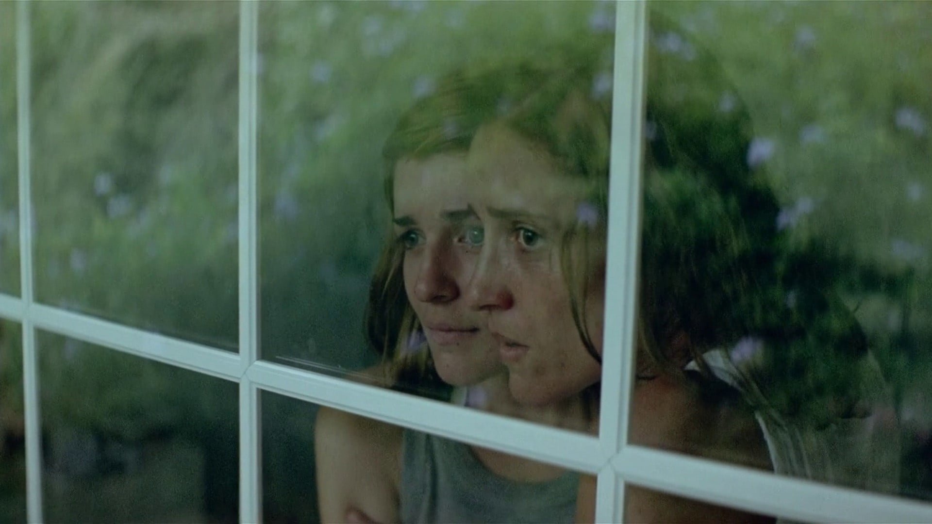 Dogtooth Desktop Wallpapers, Phone Wallpaper, PFP, Gifs, and More!