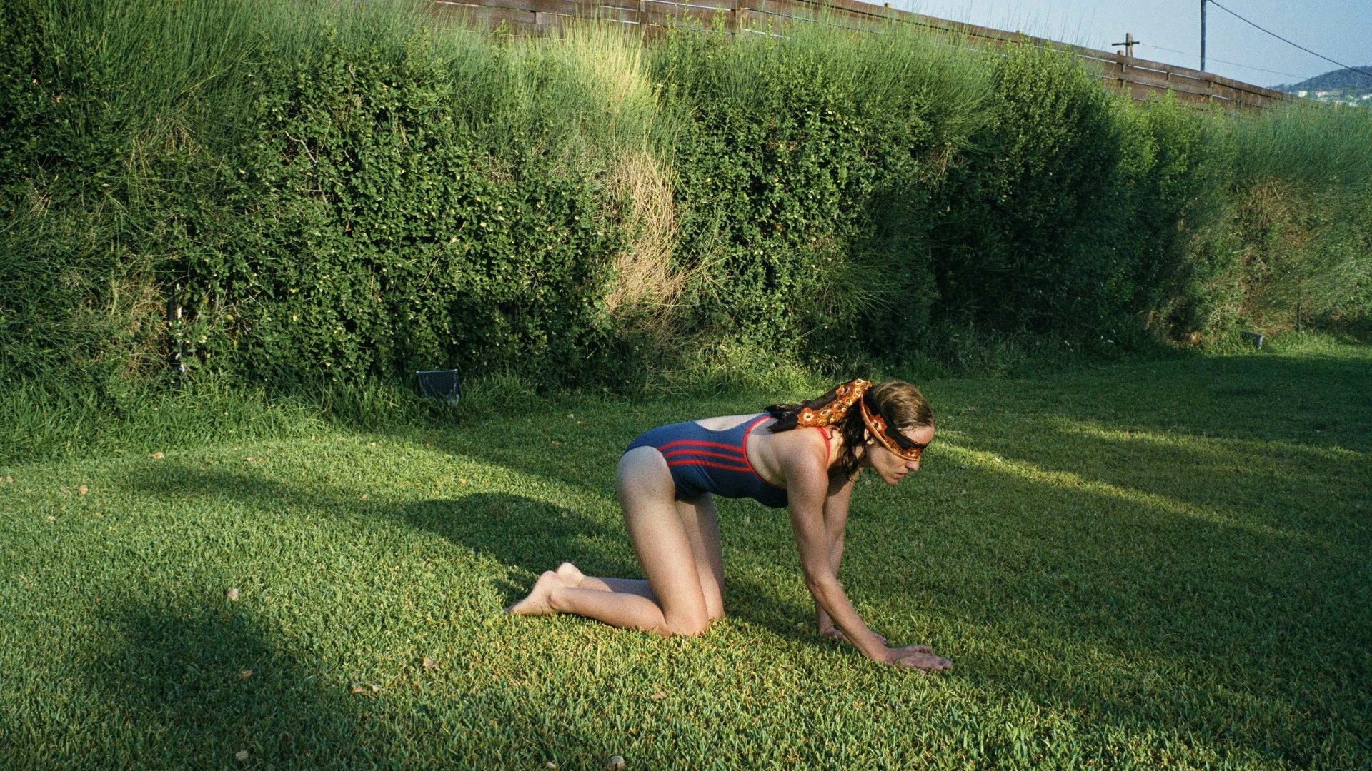 movie Dogtooth Image