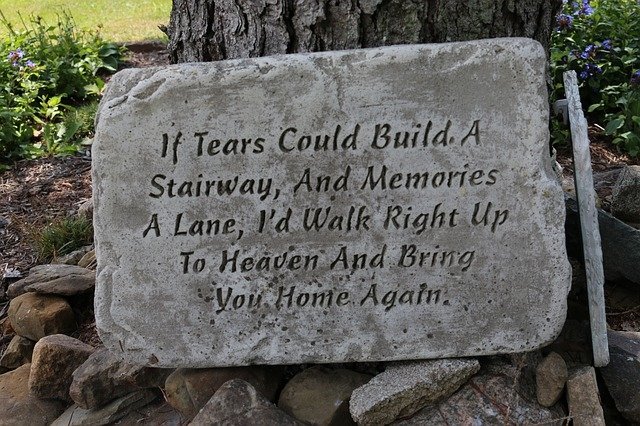  Bring you home from heaven by VIRGINIA THOMSEN