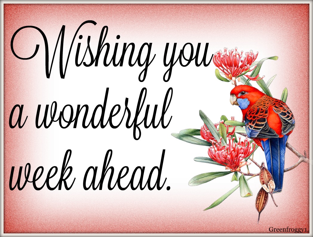 Have a wonderful week