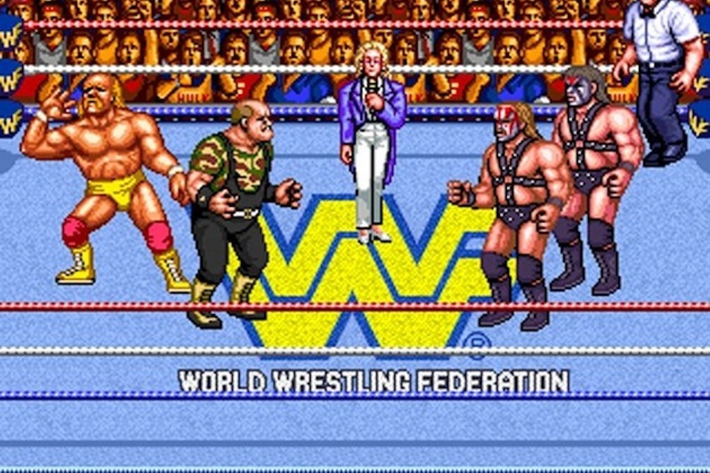 video game wwf wrestlefest Image