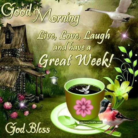  God Morning Have a Great Week