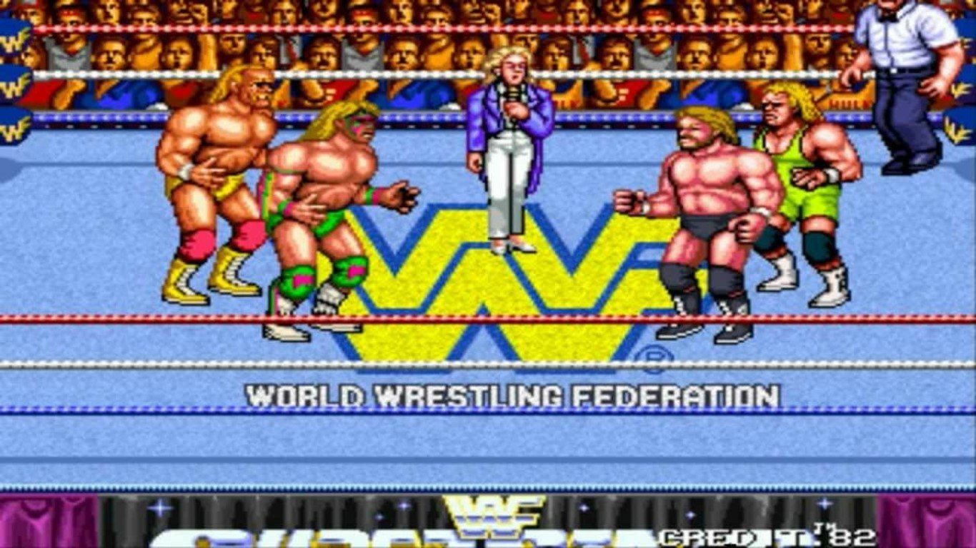 video game wwf wrestlefest Image