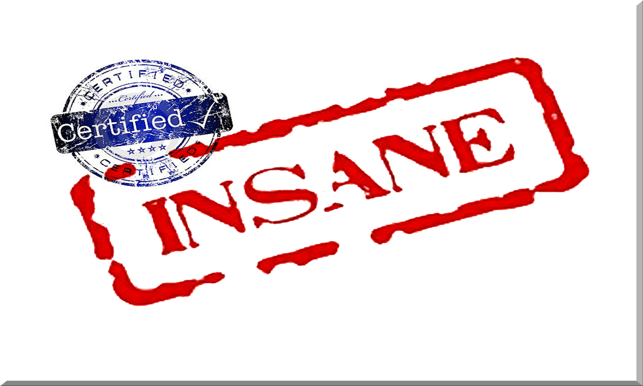 A humorous image featuring a bold red stamp that reads INSANE, accompanied by a blue Certified seal, adding a playful touch to the concept of certification.