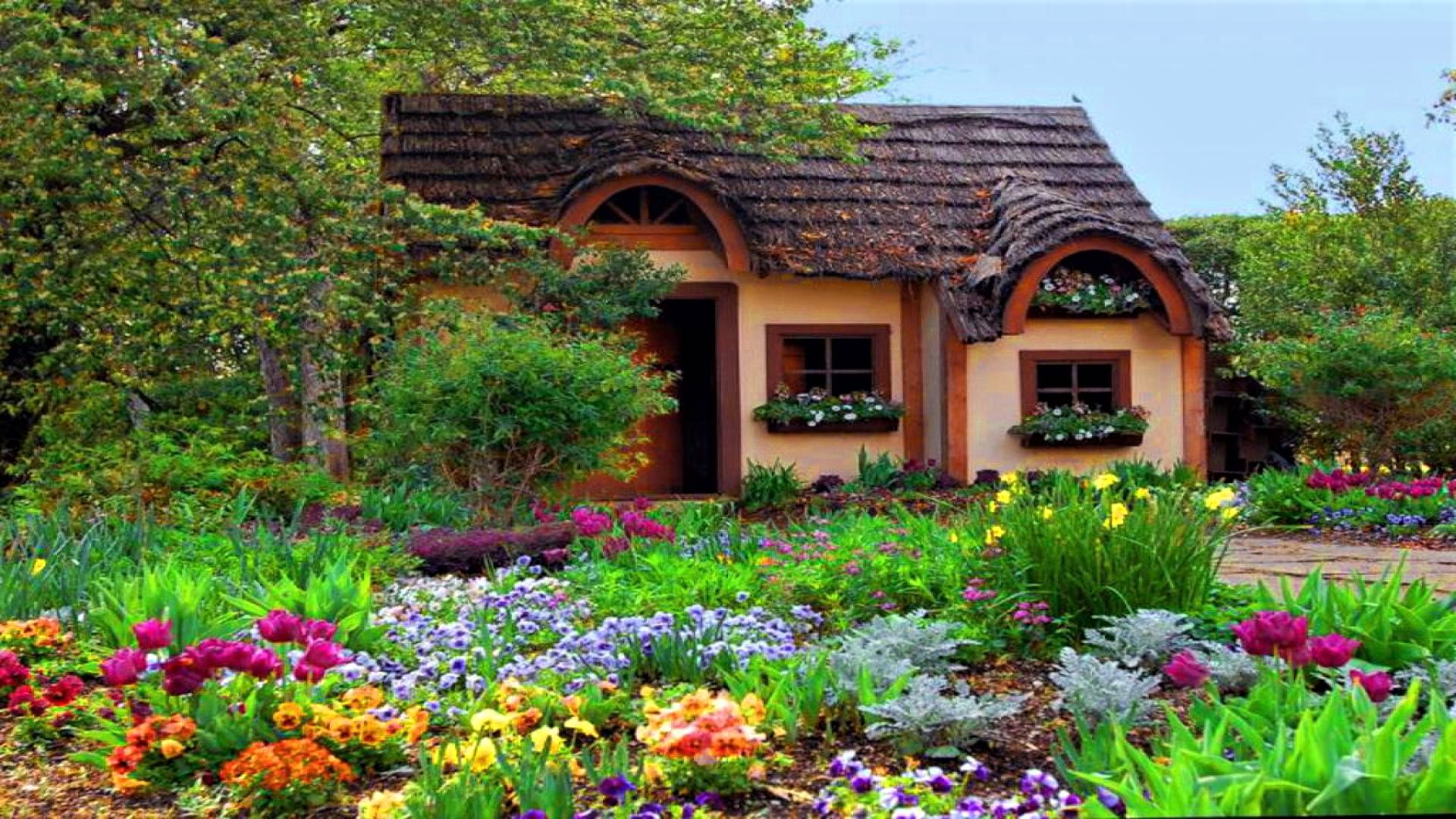 Small House Big Garden For Sale Uk - Syagrus Romanzoffiana Drupe ...