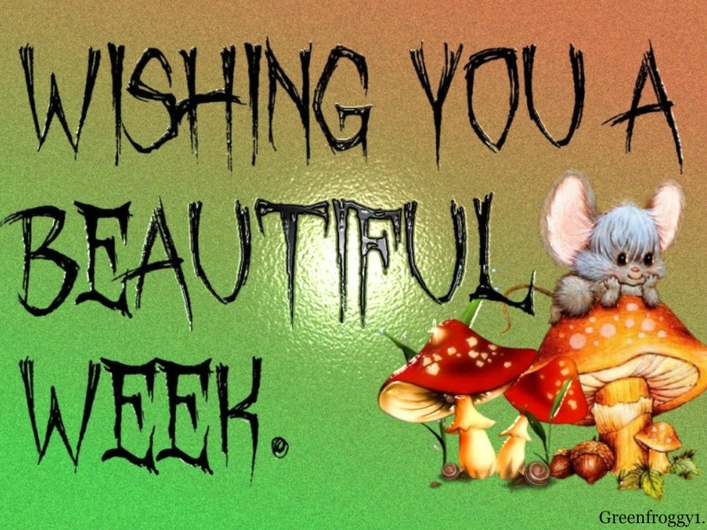 BEAUTIFUL WEEK by GREENFROGGY1