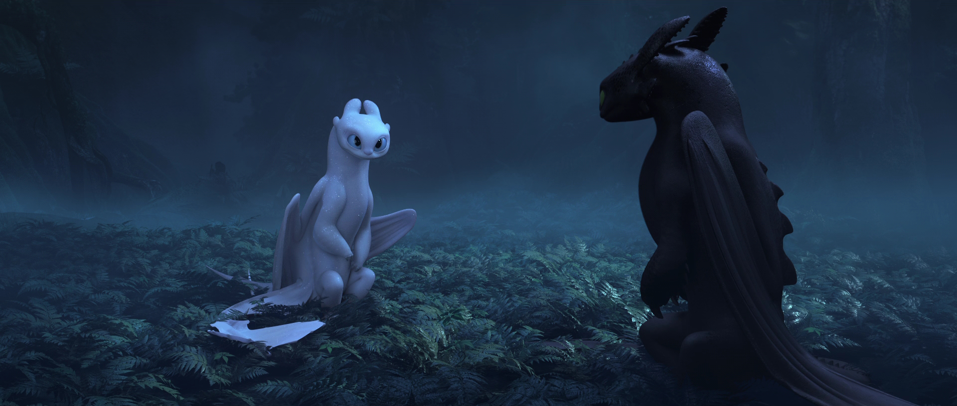 How to Train Your Dragon: The Hidden World Picture