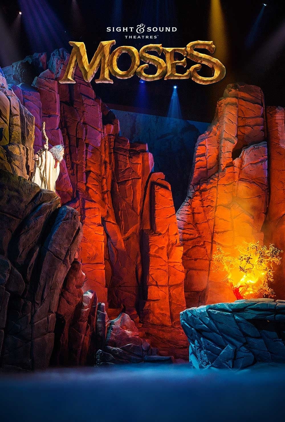 Moses Picture - Image Abyss