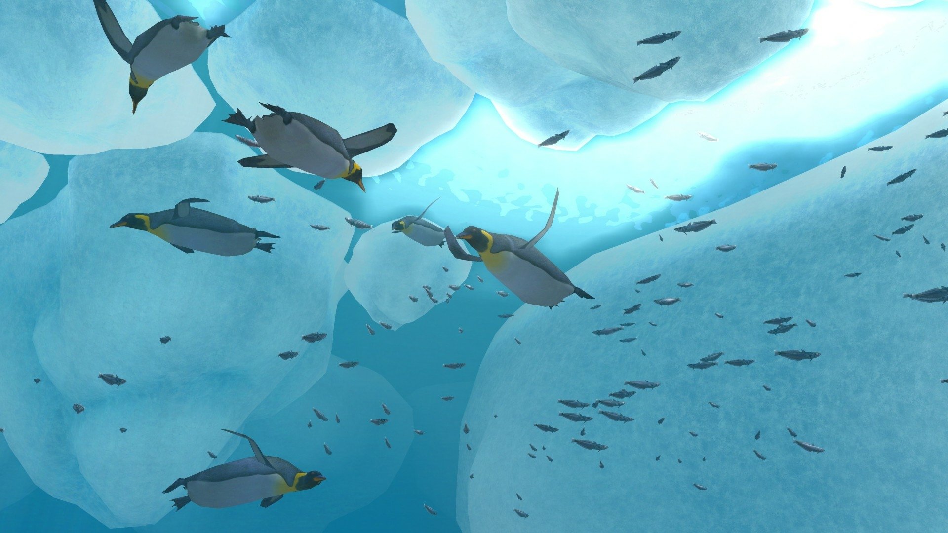 video game Endless Ocean Image