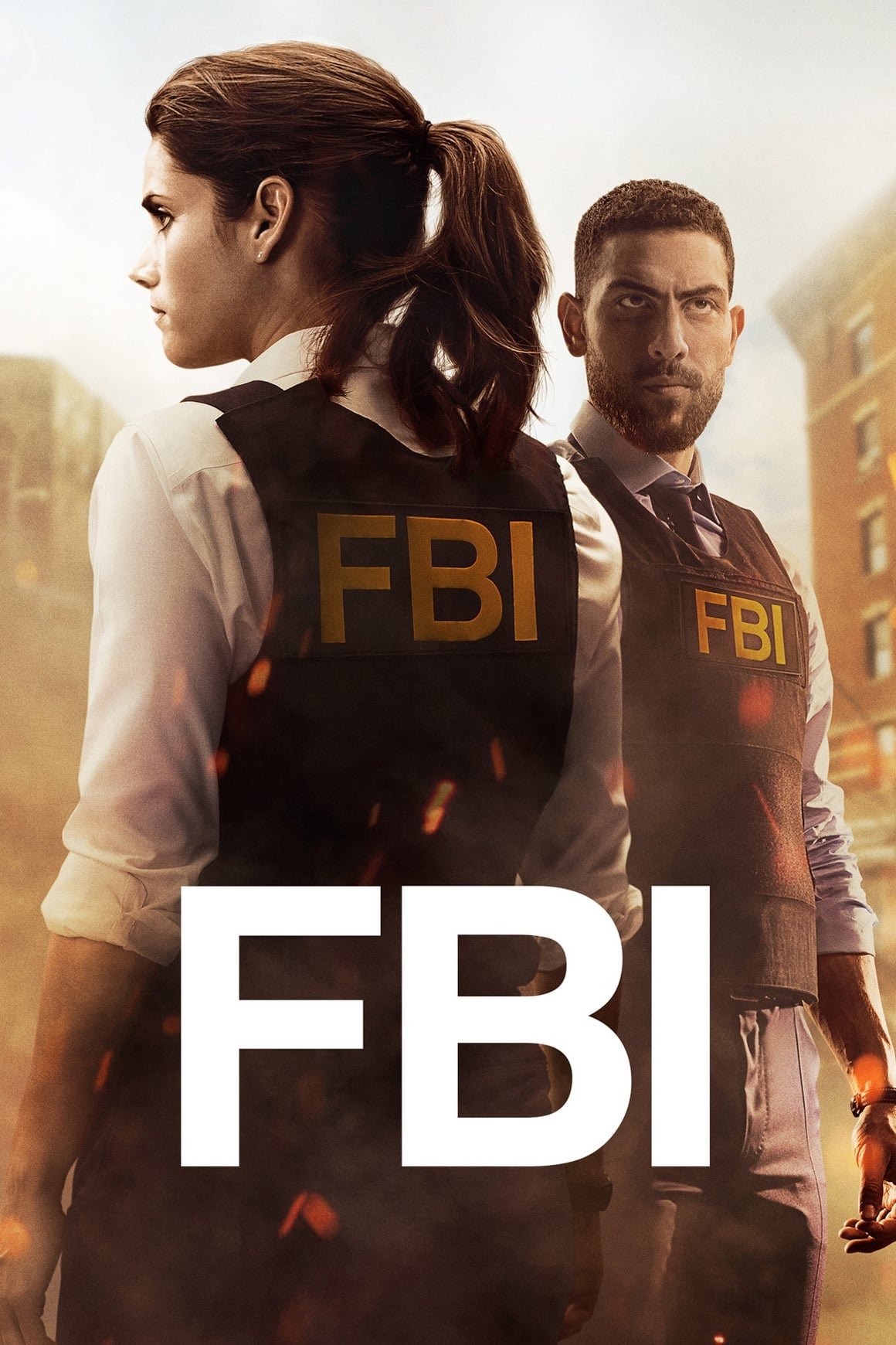 TV Show FBI Image