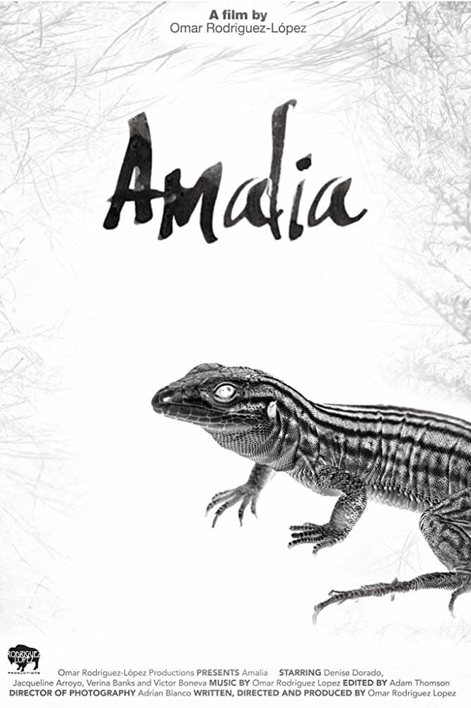 Amália - Desktop Wallpapers, Phone Wallpaper, PFP, Gifs, and More!