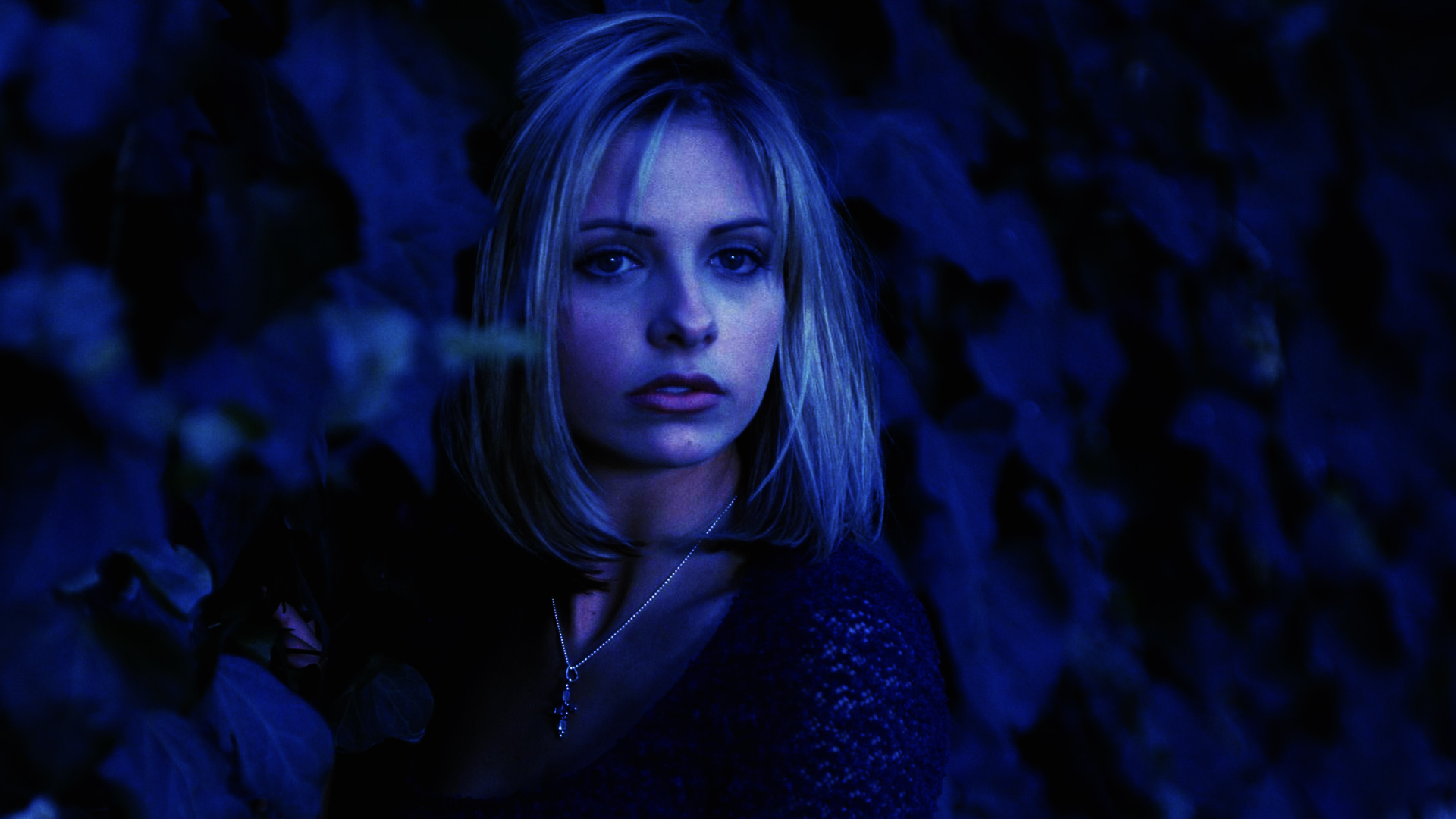 Buffy The Vampire Slayer Picture